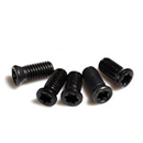 Screw for Tool Holdings